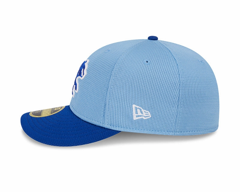Chicago Cubs New Era Blue Spring Training Low Profile 59FIFTY Fitted Hat
