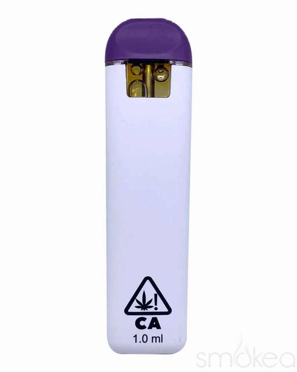 Dank Lite 1g Delta 11 Disposable Vape - Key Lime Pie