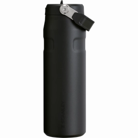 IceFlow Flip Straw 2.0 Bottle 24 oz