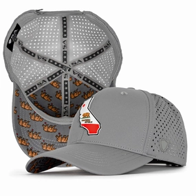 Special Edition Performance Snapback | California State